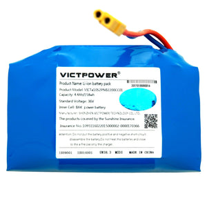 Best Hoverboard Battery Replacement Pack, 36v 25.2v 24v
